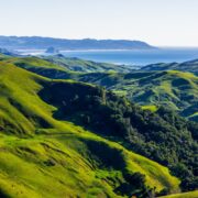 Vibrant green landscapes and blue waters of Morro Bay, California