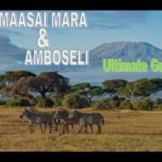 THE ULTIMATE TRAVEL GUIDE TO MAASAI MARA & AMBOSELI: THE MOST BREATHTAKING SCENERIES WORTH YOUR TIME