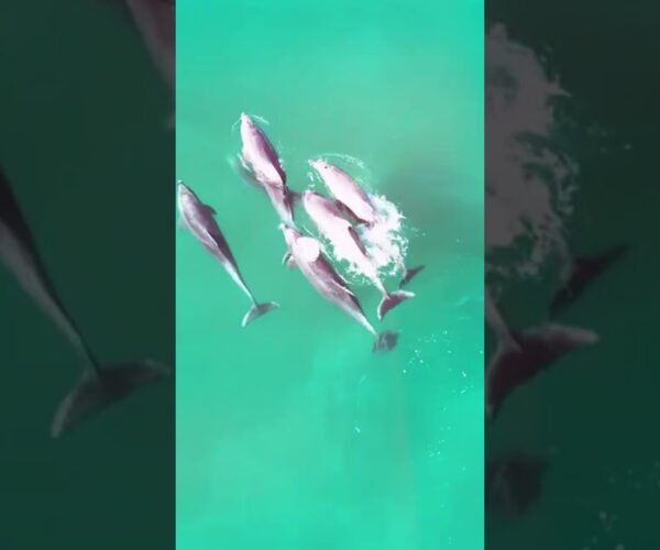 Best Things To Do in San Diego, California (2026 Travel Guide)