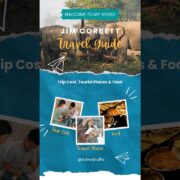 Jim Corbett complete Travel Guide 2023: Trip Cost, Tourist Places & Food #jimcorbett